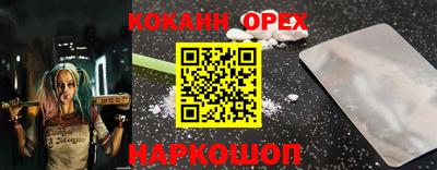 мдпв Кингисепп