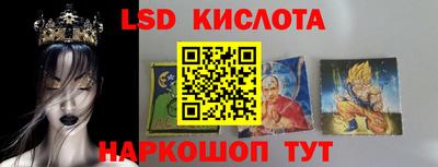 мдпв Кингисепп