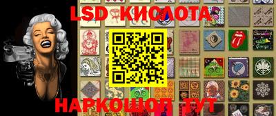 мдпв Кингисепп