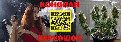 не бодяженный Камышлов
