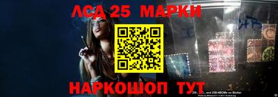 мдпв Кингисепп