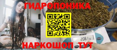 гидропоника Кимры
