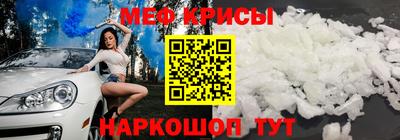 мдпв Кингисепп