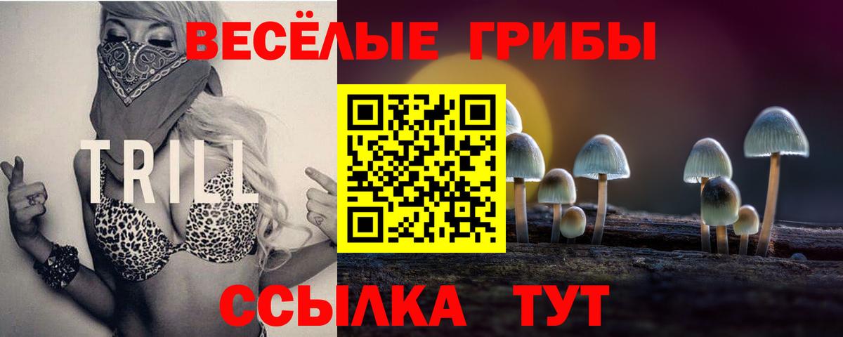 Псилоцибиновые грибы MAGIC MUSHROOMS Костомукша